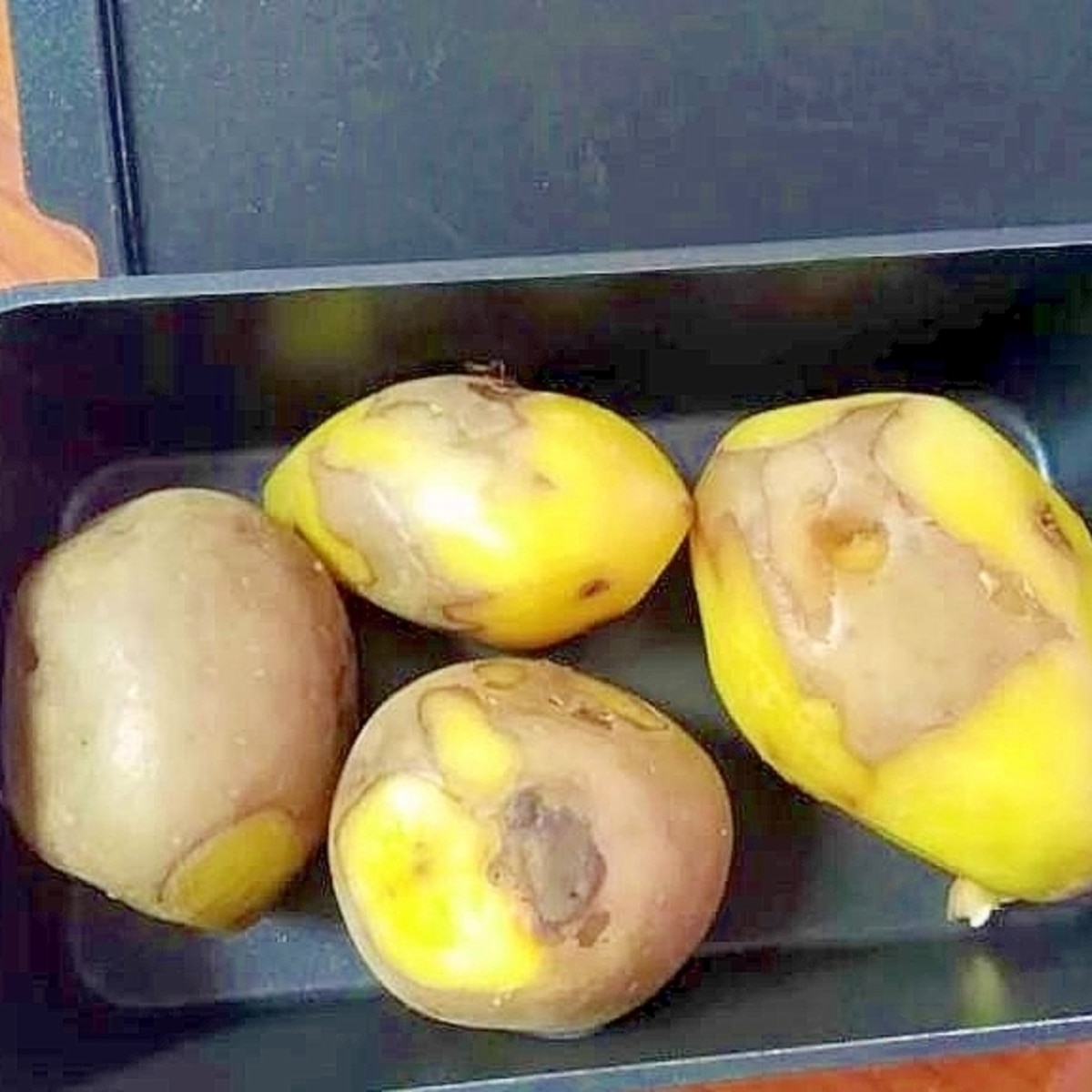 超簡単 栗みたい トースターパンで甘旨じゃが芋 レシピ 作り方 By やつはしゆうこ 週末破天荒レシパー スピード承認 楽天レシピ 超簡単 栗みたい トースターパンで甘旨じゃが芋 レシピ 作り方 By やつはしゆうこ 週末破天荒レシパー スピード承認 楽天レシピ